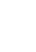 POMIDOR