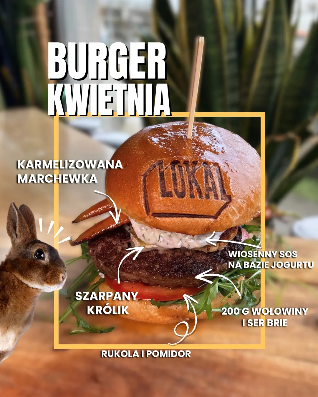 burger-miesiaca-- gruziński