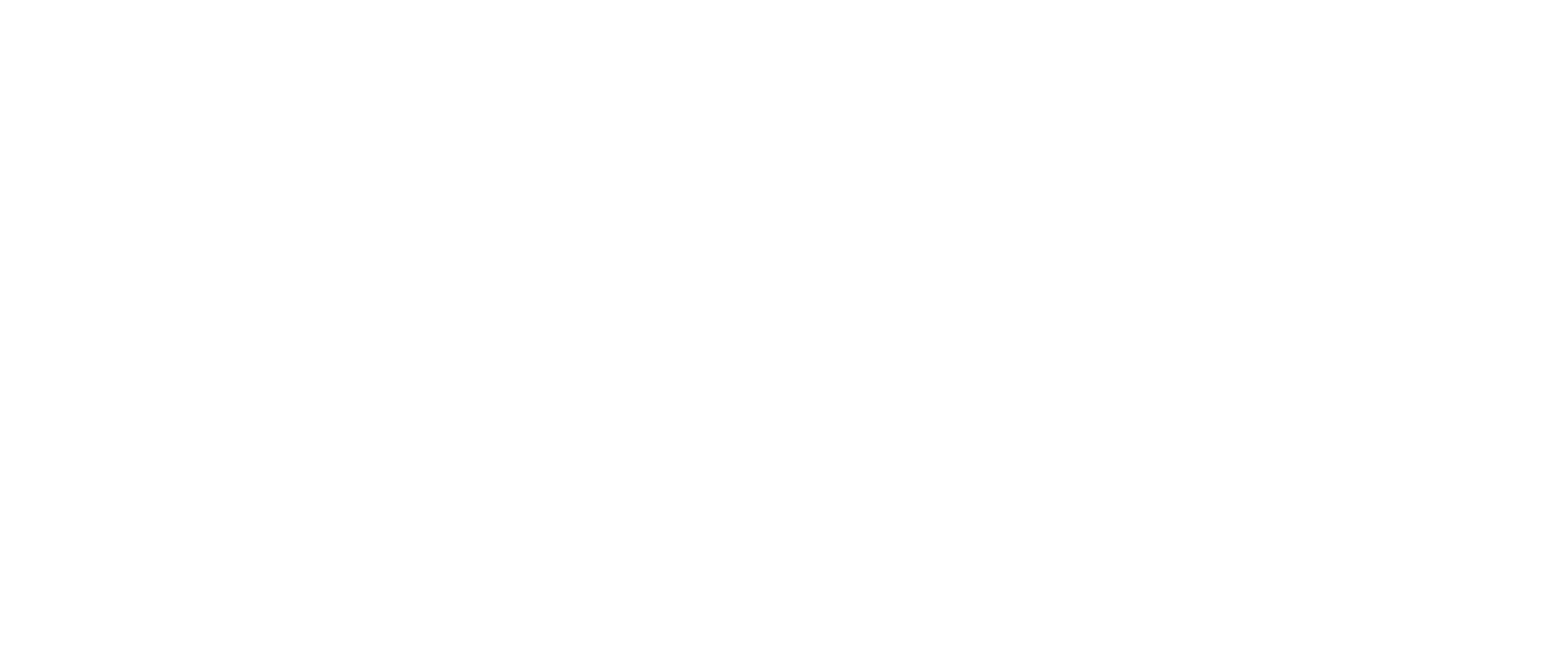 Kong - Polish Street Food