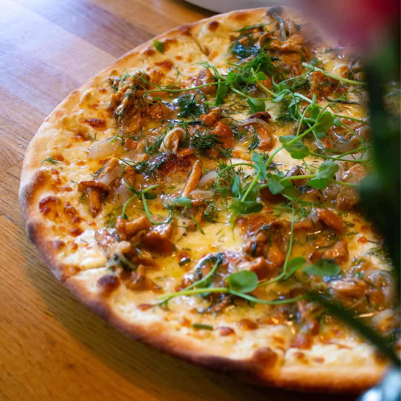 Włoski Ogród pizza sezonowa