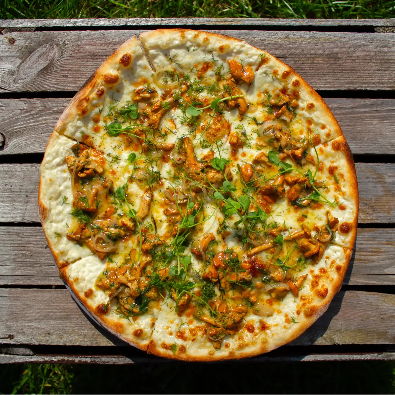 Włoski Ogród Restauracja pod Warszawą - Pizza z kurkami 