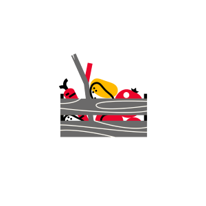 icon_main_site